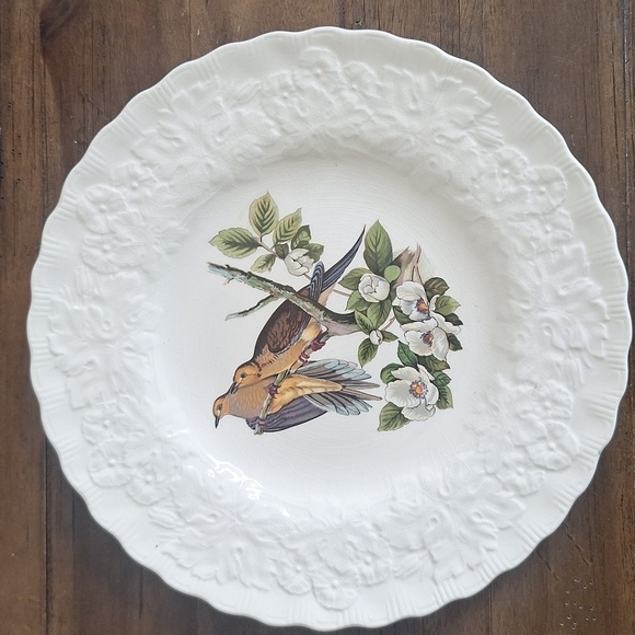 Vintage Carolina Turtle Dove Plate by Audubon Society – Alfred Meakin England - Picture 6 of 6